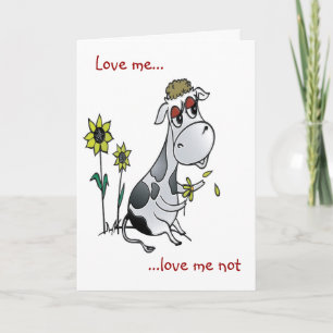 Cow Love Holiday Card