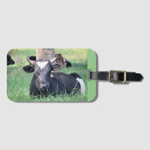Cow Luggage Tag