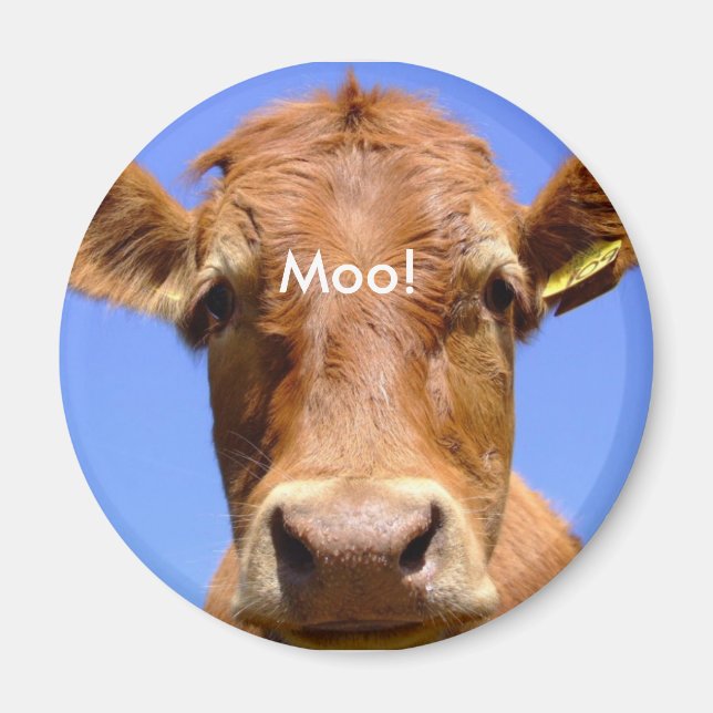 Cow Magnet (Front)