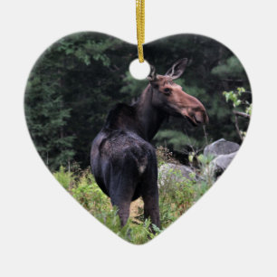 Cow Moose Ceramic Tree Decoration