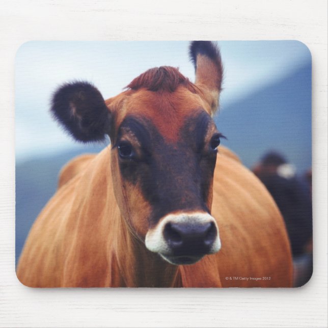 cow mouse mat (Front)