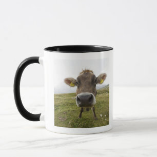 Cow near Tre Cime Di Lavaredo in Misurina, Mug