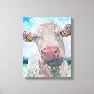 Cow no 04. 0223 Irish Charolais Cow Canvas Print