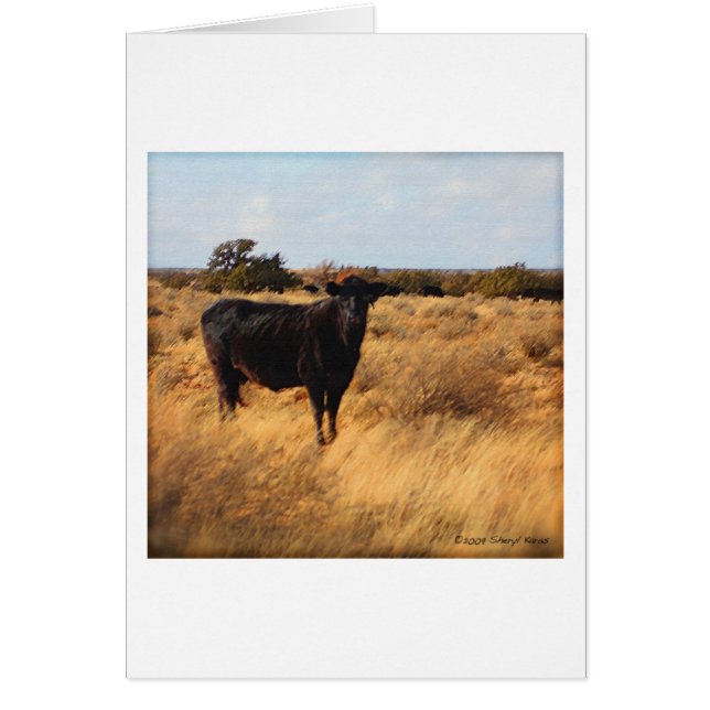 Cow on the Range (Front)