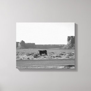 Cow on The Side of the Road Monument Valley 11x14 Canvas Print