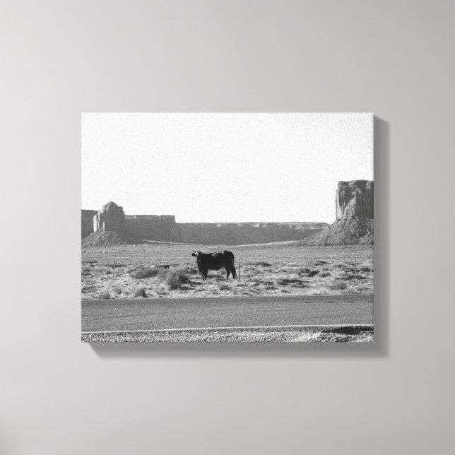 Cow on The Side of the Road Monument Valley 11x14 Canvas Print (Front)