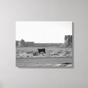 Cow on The Side of the Road Monument Valley 16x20 Canvas Print
