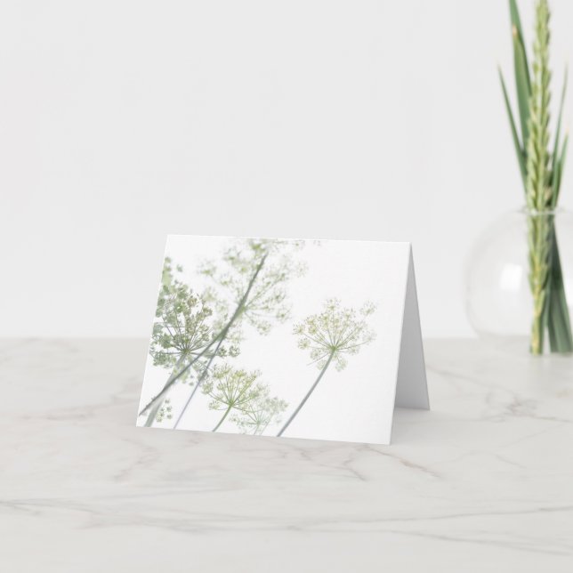 Cow Parsley Card (Front)