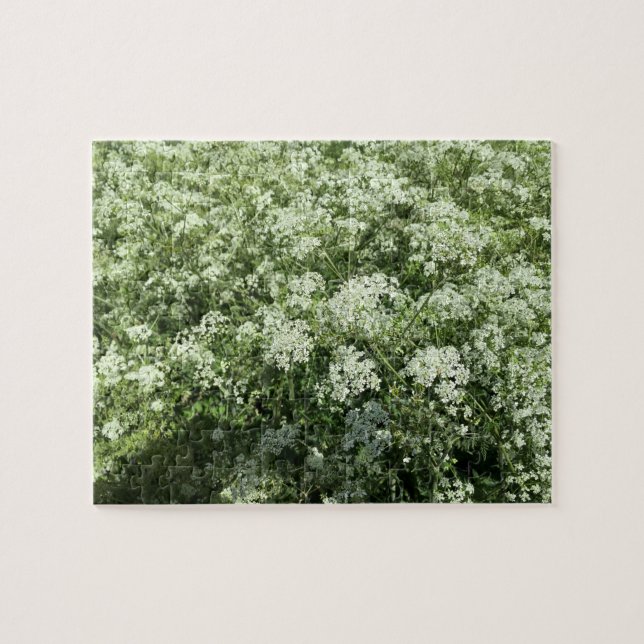 Cow Parsley White Flowers Nature Jigsaw Puzzle (Horizontal)