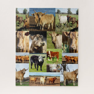 Cow Photo Collage, Jigsaw Puzzle