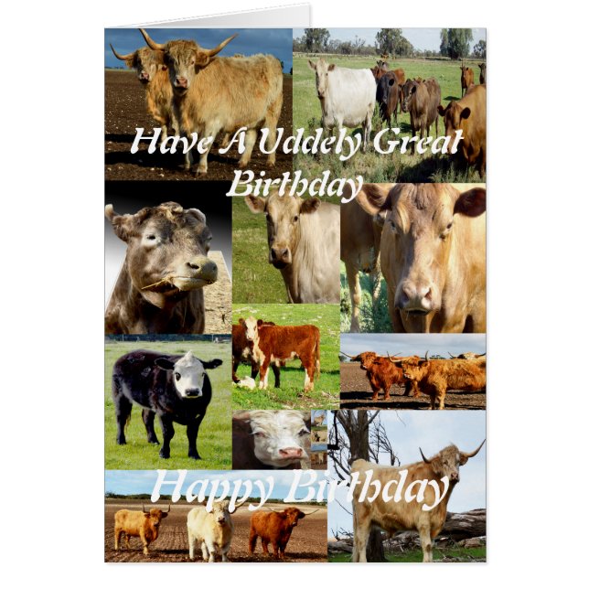 Cow Photo Collage, Udderly Great Birthday (Front)