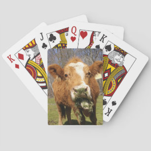 Cow Playing Cards