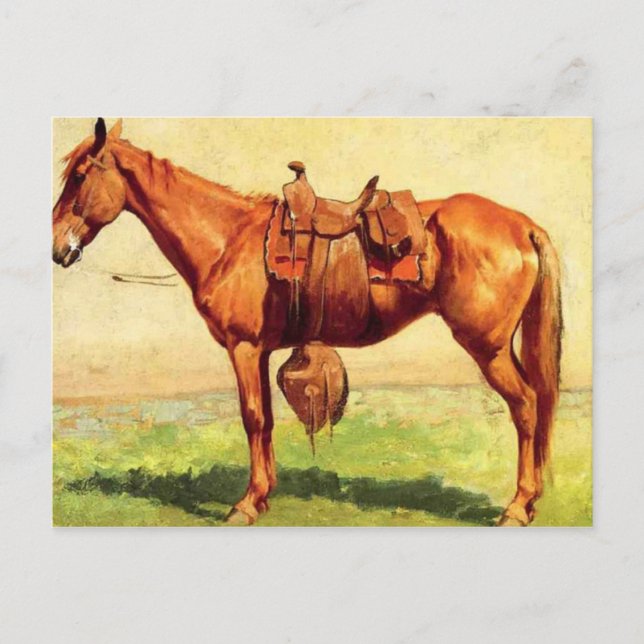 Cow Pony Postcard (Front)
