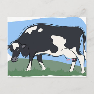 Cow Postcard