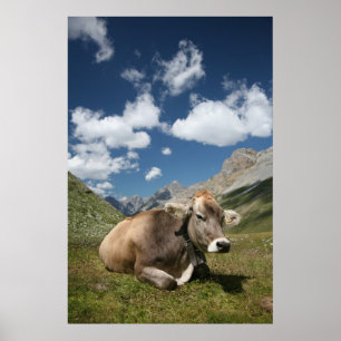Cow Poster