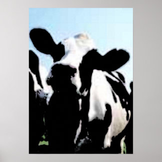 cow poster