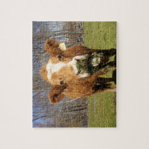Cow Puzzle