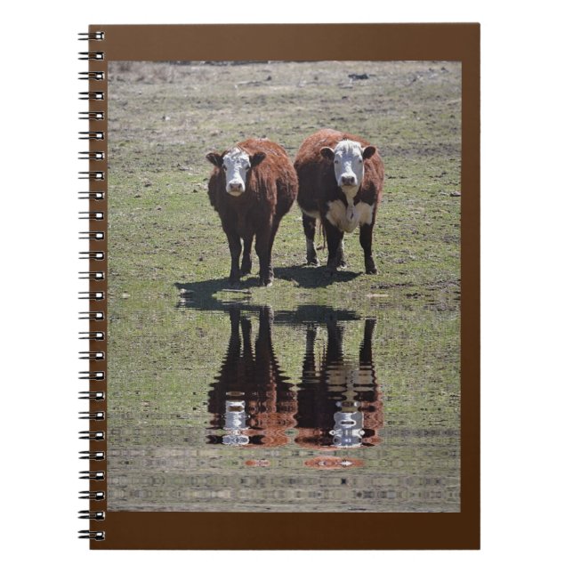 Cow Reflections Notebook (Front)