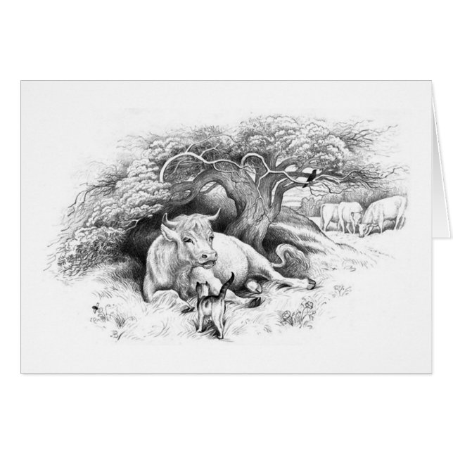 Cow Resting Card (Front Horizontal)