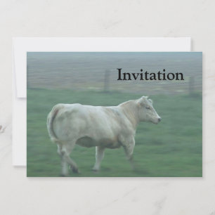 Cow Running Invitation