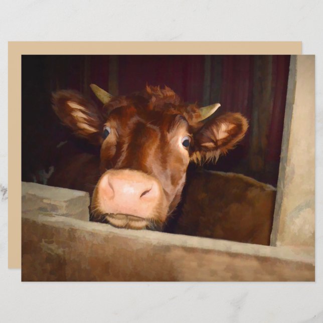 Cow Rustic Brown Country Barn Funny Farm (Front/Back)