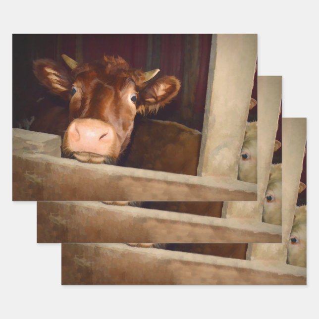 Cow Rustic Brown Country Barn Funny Farm Wrapping Paper Sheet (Set)