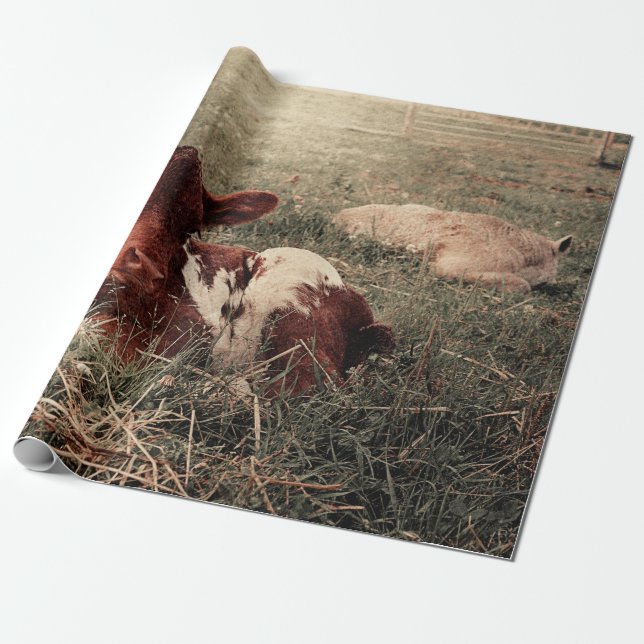 Cow Rustic Country Farmhouse Decoupage Wrapping Paper (Unrolled)