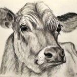 Cow Sketch Puzzle<br><div class="desc">Sketch of a Cow, on a puzzle. Original artwork by Maria Kemp</div>