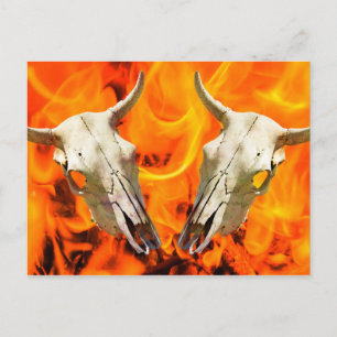 Cow skull and fire postcard