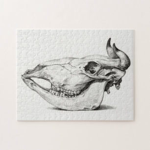 Cow skull by Jean Bernard Jigsaw Puzzle