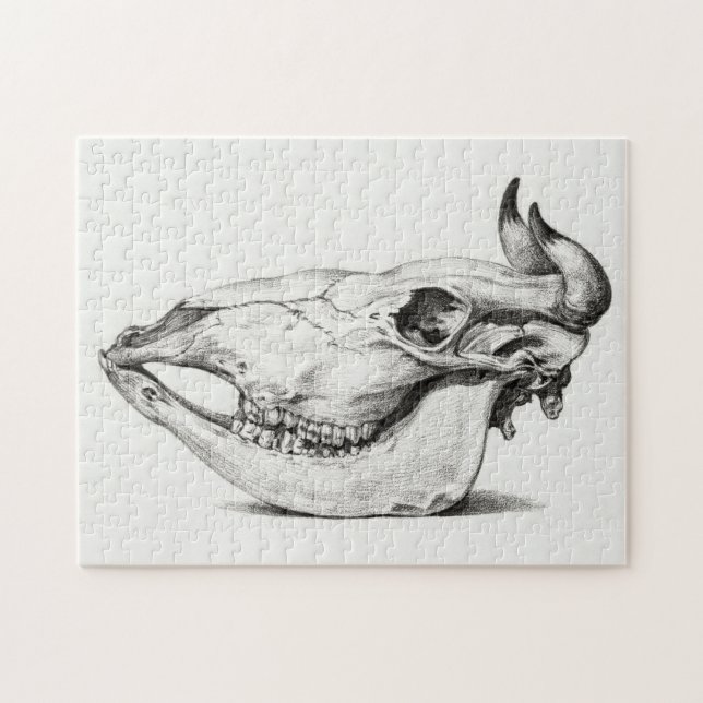 Cow skull by Jean Bernard Jigsaw Puzzle (Horizontal)
