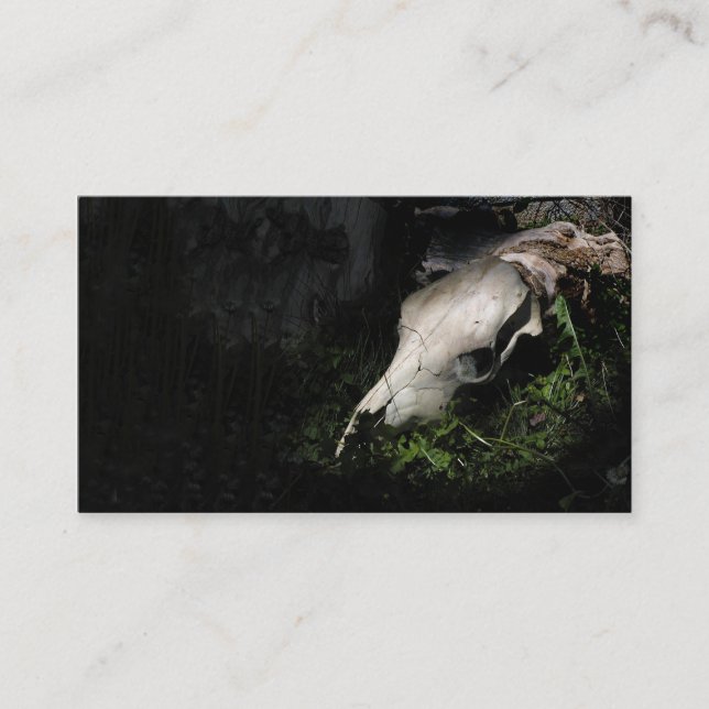 Cow skull profile or business card (Front)