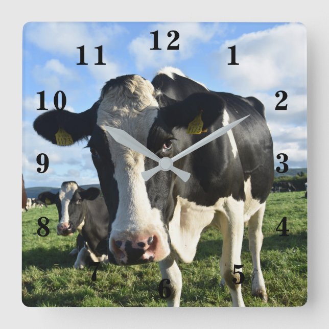 Cow Square Wall Clock (Front)