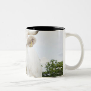 Cow standing in grassy field Two-Tone coffee mug