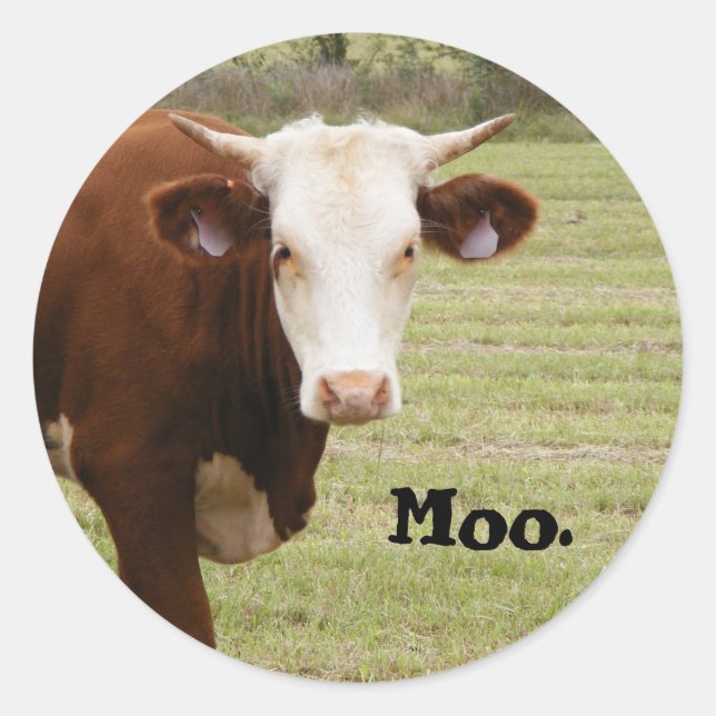 Cow sticker: "Moo." Classic Round Sticker (Front)