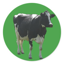 Cow Stickers