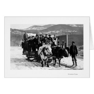 Cow Team Pulling Men in a Wagon