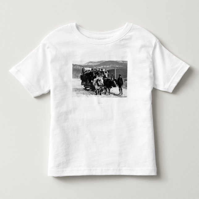 Cow Team Pulling Men in a Wagon Toddler T-Shirt (Front)