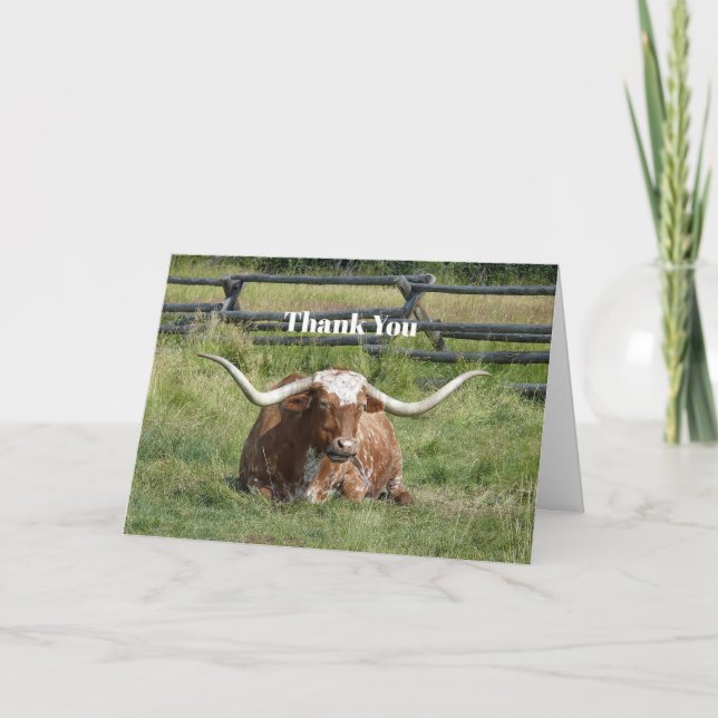 Cow Texas Longhorn Photo Thank You Card (Front)