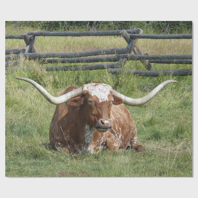 Cow Texas Longhorn Photo Wrapping Paper (Flat)