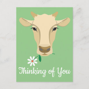 Cow Thinking of You Hello Miss You Farm Farmer Postcard