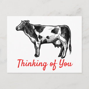 Cow Thinking of You Hello Miss You Farm Farmer Postcard
