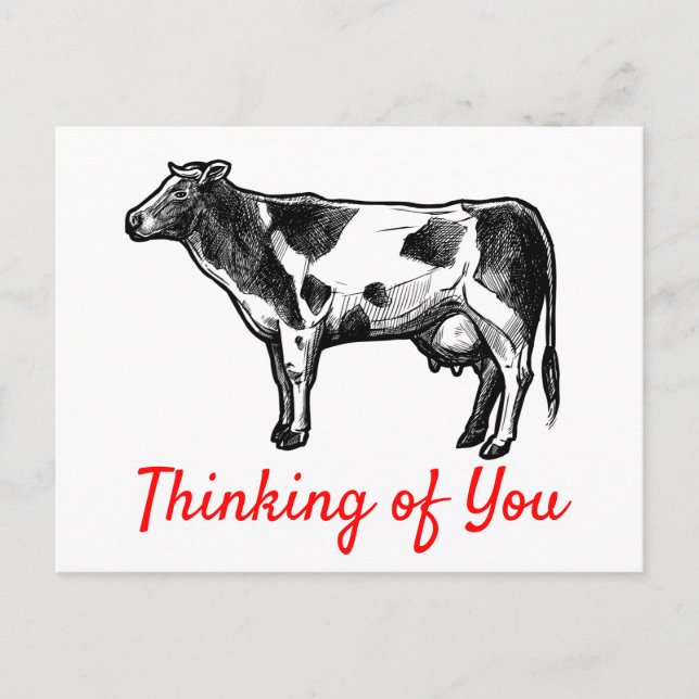 Cow Thinking of You Hello Miss You Farm Farmer Postcard (Front)