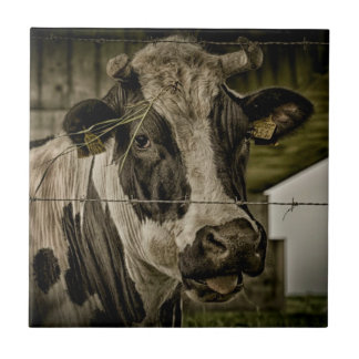 cow tile