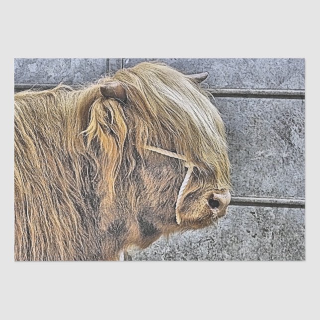 COW TISSUE PAPER (Front)