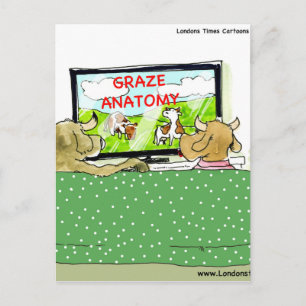 Cow TV Shows Funny Cartoon Postcard