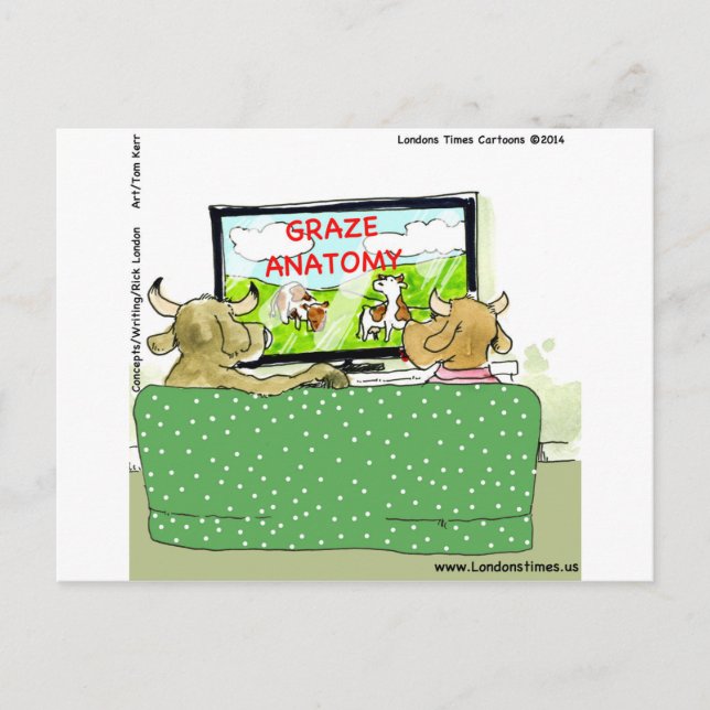 Cow TV Shows Funny Cartoon Postcard (Front)