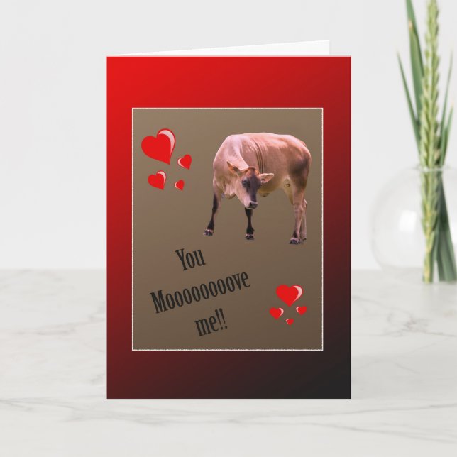 Cow Valentine Greeting Holiday Card (Front)