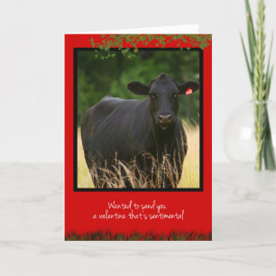 Cow Valentine Holiday Card