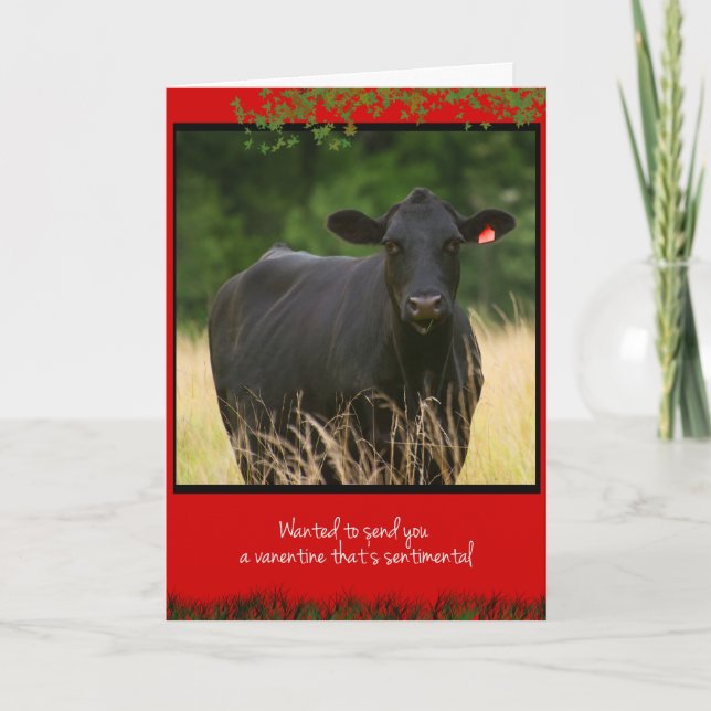Cow Valentine Holiday Card (Front)